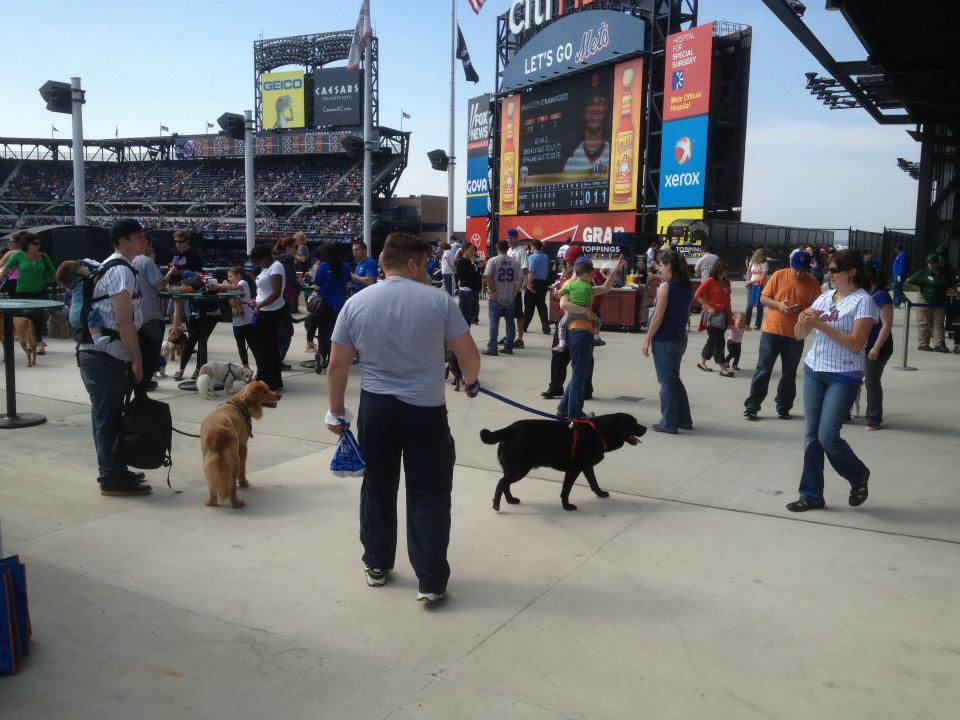 Mets Bark in the Park (Part 4) The Mets Police